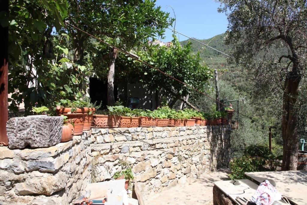 Le Case Della Lizza - Casa Blu Λεβάντο Εξωτερικό φωτογραφία